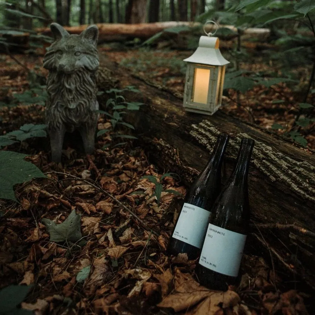 Two bottles of wine resting on fallen leaves beside a lantern.