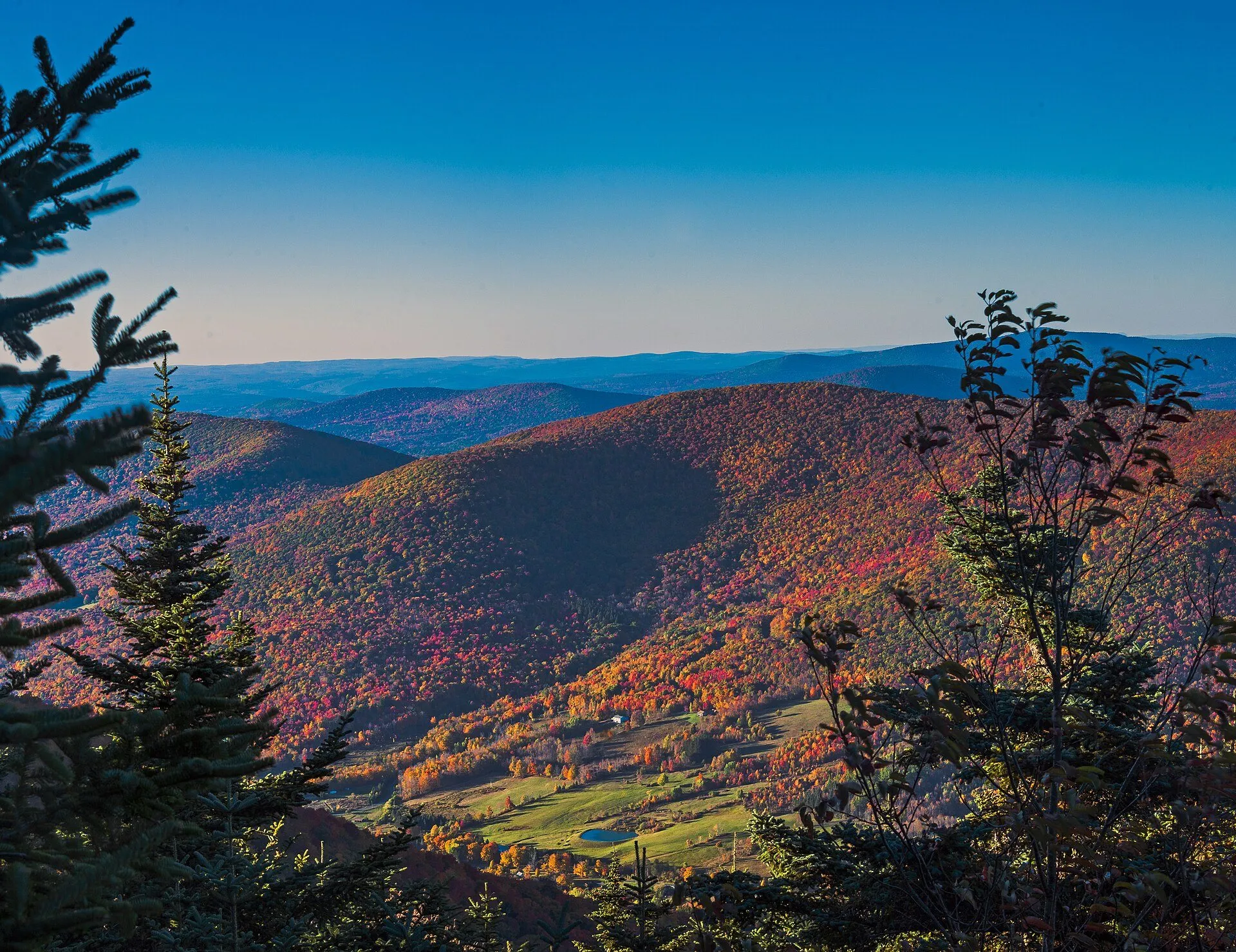 Autumn ridgelines seen from a Catskills lookout, forest in full colour.